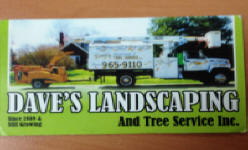 steeleville-daves-landscaping-image